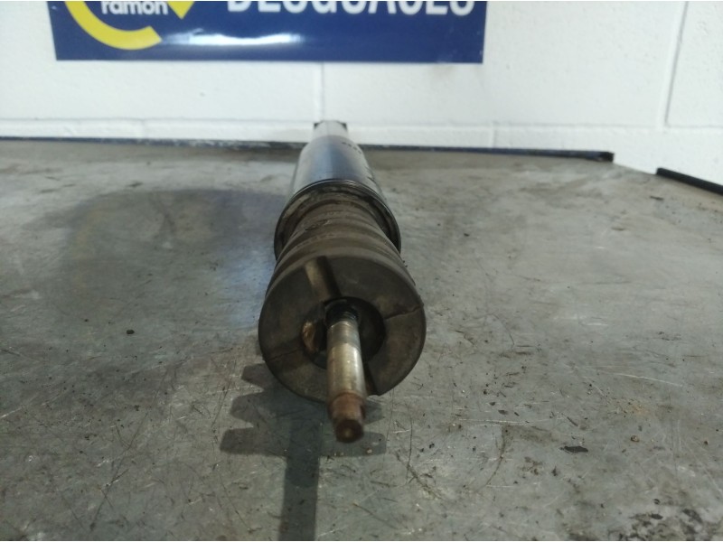 Recambio de amortiguador trasero para renault clio iii authentique referencia OEM IAM   