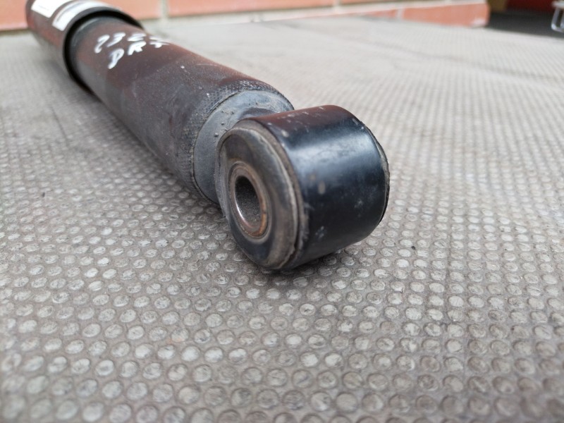 Recambio de amortiguador delantero derecho para nissan cabstar e110 | ... e110 | ... referencia OEM IAM    Recambio de amortiguador delantero derecho para nissan cabstar e110 | ... e110 | ... referencia OEM IAM