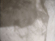 seat ibiza (6k1) select | 08.99 - 12.01 del año 1999