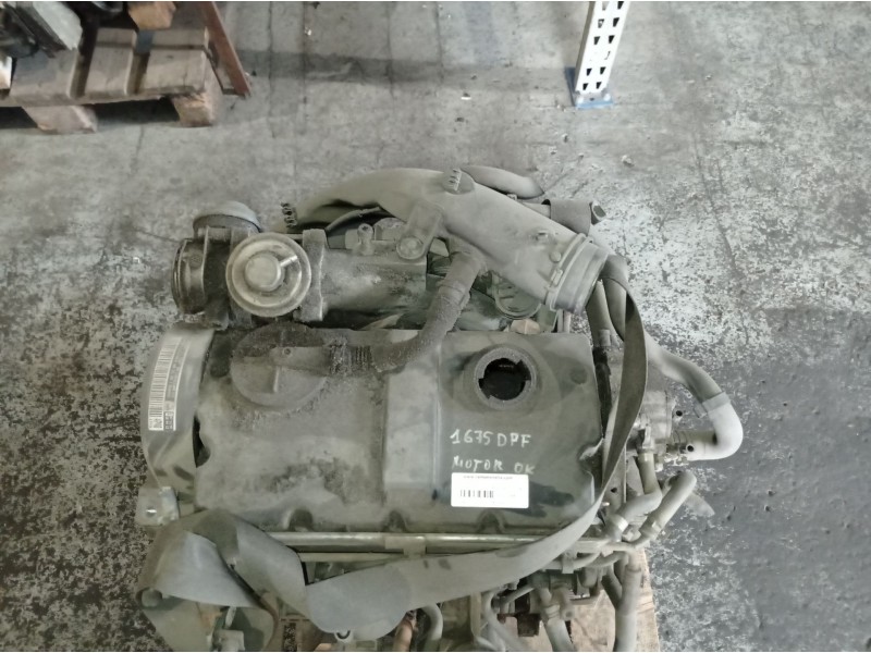 Recambio de motor completo para volkswagen golf iv berlina (1j1) 1.9 tdi | 0.97 - ... 1.9 tdi | 0.97 - ... referencia OEM IAM AX