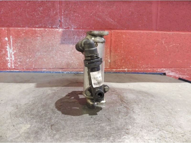 Recambio de radiador gases para bmw serie 3 touring (e46) 2.0 16v diesel cat | 0.99 - 0.06 2.0 16v diesel cat | 0.99 - 0.06 refe