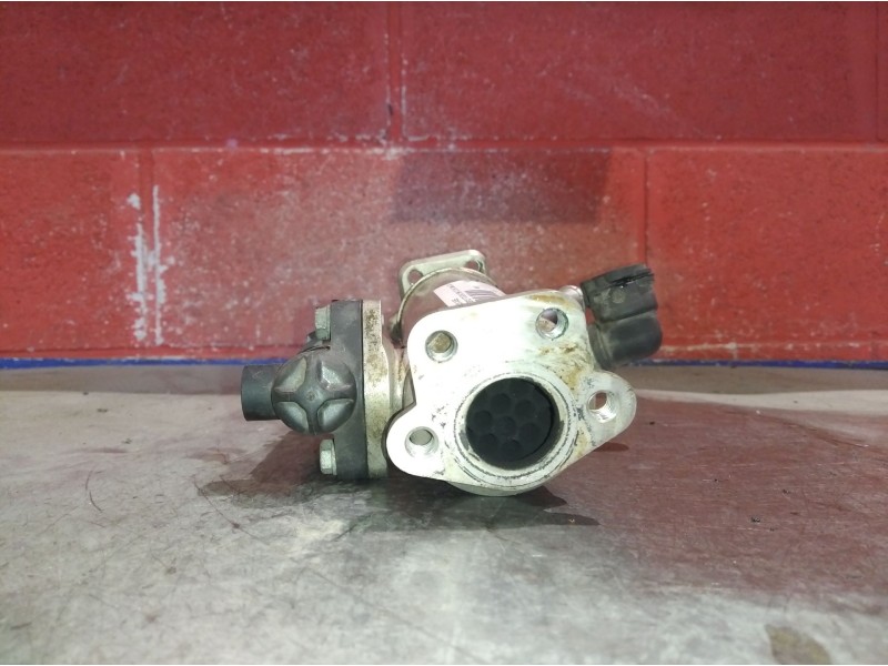 Recambio de radiador gases para bmw serie 3 touring (e46) 2.0 16v diesel cat | 0.99 - 0.06 2.0 16v diesel cat | 0.99 - 0.06 refe