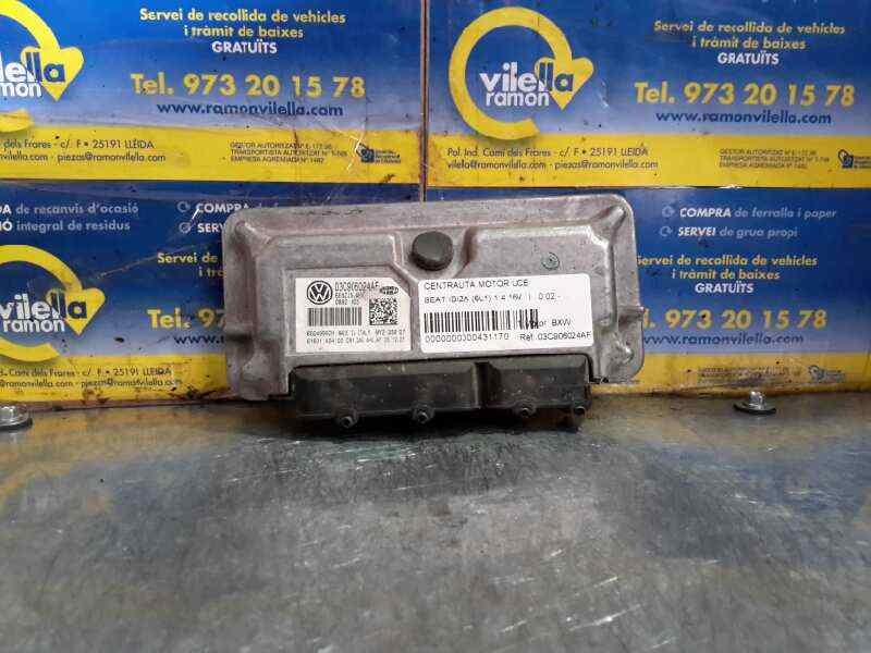 Recambio de centralita motor uce para seat ibiza (6l1) 1.4 16v | 0.02 - ... 1.4 16v | 0.02 - ... referencia OEM IAM 03C906024AF 