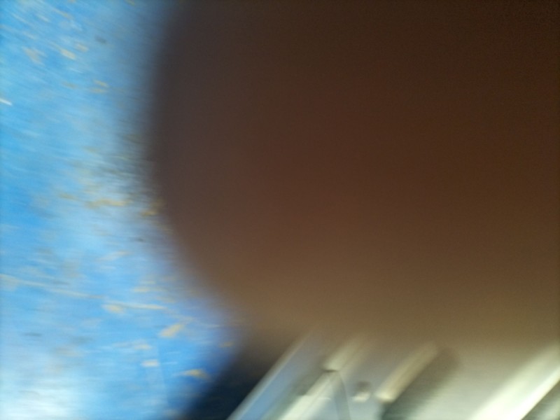 citroen saxo  | 0.99 - 0.03 del año 2000