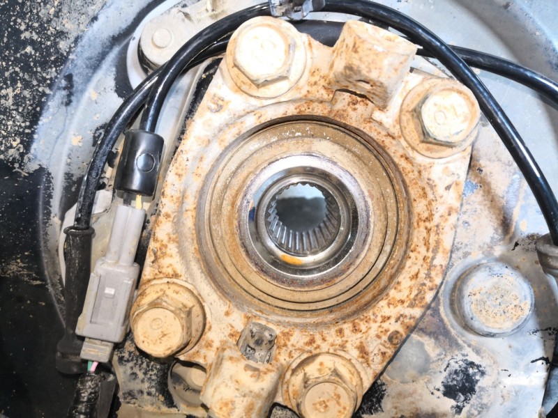 Recambio de mangueta trasera derecha para nissan qashqai (j10)  | 0.07 - ...  | 0.07 - ... referencia OEM IAM   