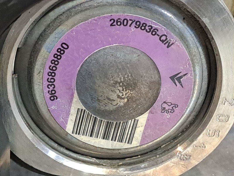 Recambio de bomba direccion para peugeot 206 berlina e-music referencia OEM IAM 9636868880  