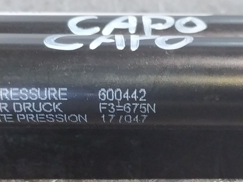 Recambio de amortiguadores capot para citroen c4 grand picasso exclusive referencia OEM IAM   