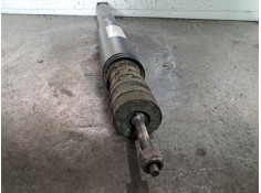 Recambio de amortiguador trasero para renault clio iii authentique referencia OEM IAM    2