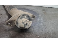 Recambio de amortiguador trasero para seat leon (1m1) 1.9 tdi referencia OEM IAM    2