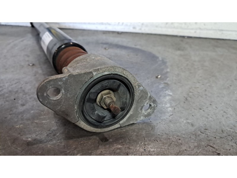 Recambio de amortiguador trasero para ford fusion (cbk) elegance referencia OEM IAM   