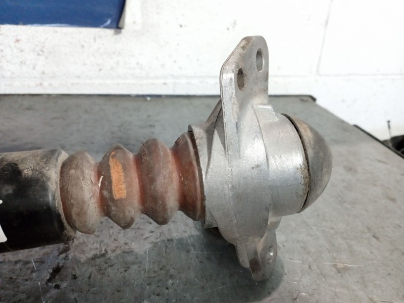 Recambio de amortiguador trasero para volkswagen golf v berlina (1k1) 1.6 referencia OEM IAM   