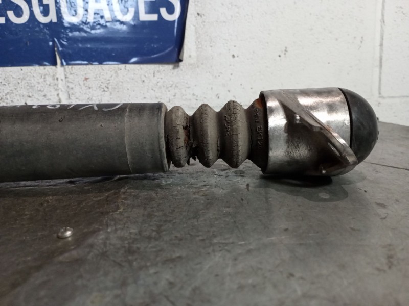 Recambio de amortiguador trasero para seat toledo (1m2) 1.9 tdi referencia OEM IAM   