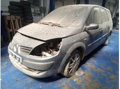 renault scenic ii grand dynamique | 10.06 - 12.08 del año 2007
