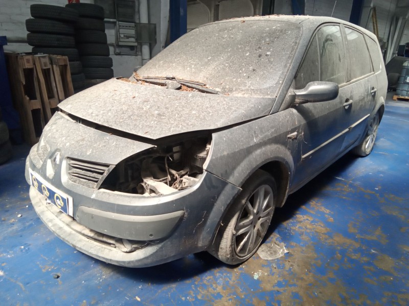 renault scenic ii grand dynamique | 10.06 - 12.08 del año 2007
