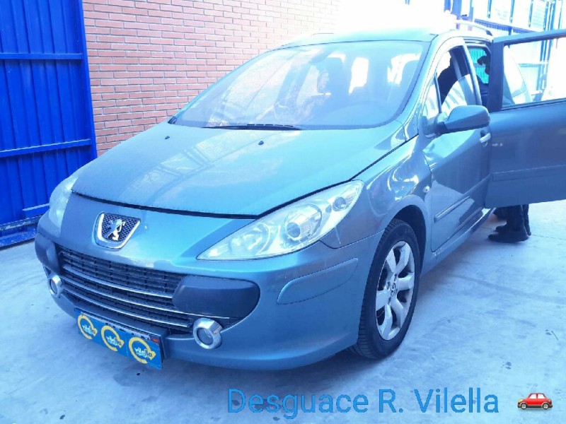 peugeot 307 break/sw (s2) xs | 06.05 - 12.06 del año 2007