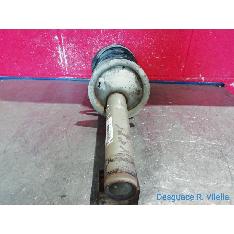 Recambio de amorti. delan. derecho para peugeot 206 berlina xn | 09.98 - 12.02 xn | 09.98 - 12.02 referencia OEM IAM   